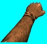PAWNCH