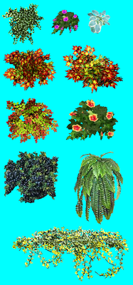 Plants and vegetation 1