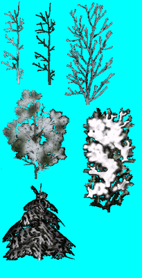 Snowy trees