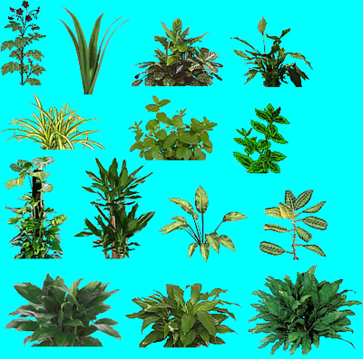 Various plants