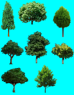 Small tree collection