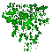 SPLAT! GREEN.png