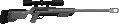 SNPPA0.png