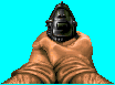 PISGA0.PNG