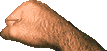 BIN2D0.png