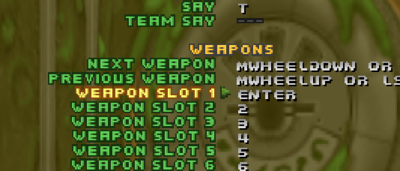 Attempt to change control of &quot;Weapon 1&quot; into 1 results me ENTER instead of 1 key.