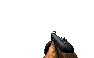 Riot Shotgun