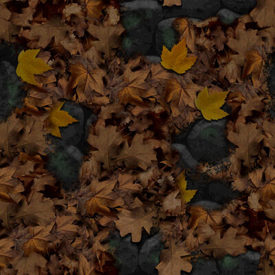 F_007.jpg
