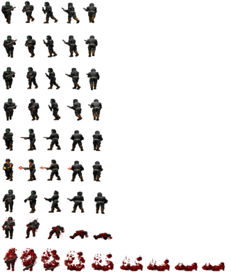Player version