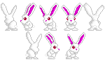 rabbit smol.png