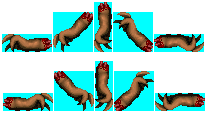 arms.png